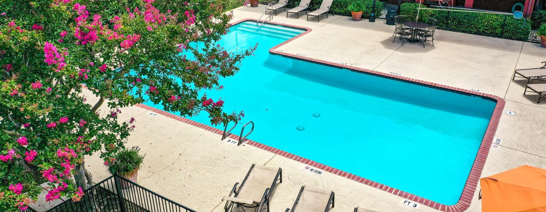 a swimming pool with chairs and umbrellas